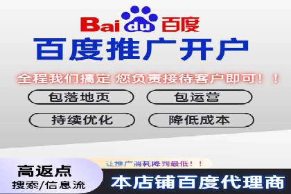 sem百度竞价实战：成功案例解析